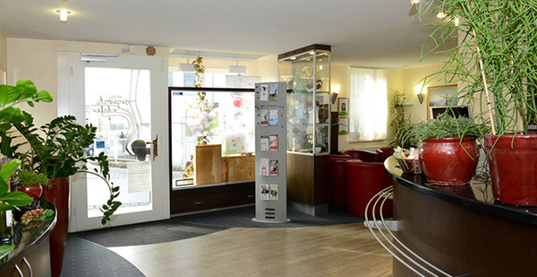 Heller Empfangsbereich einer Zahnarztpraxis mit modernen Möbeln und vielen Zimmerpflanzen.